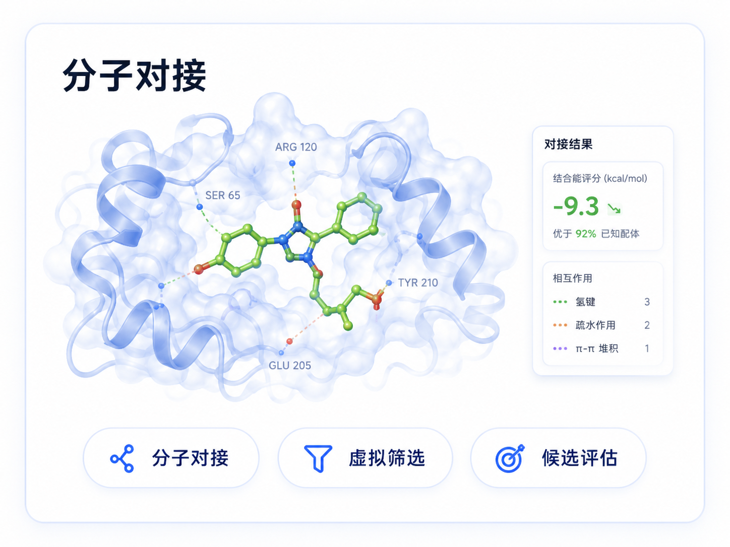 分子对接:虚拟筛选与候选评估