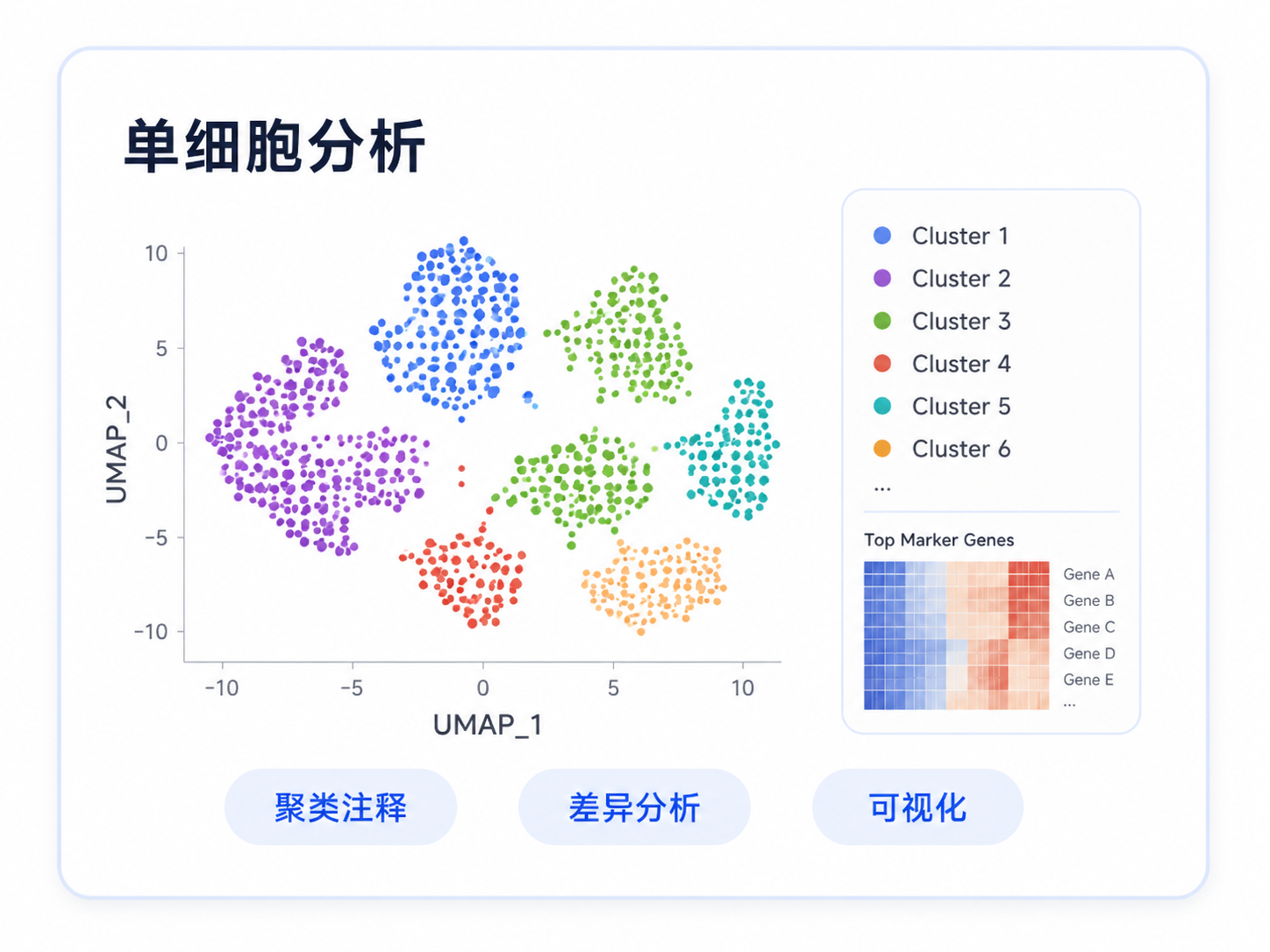 单细胞分析:聚类注释、差异分析与可视化