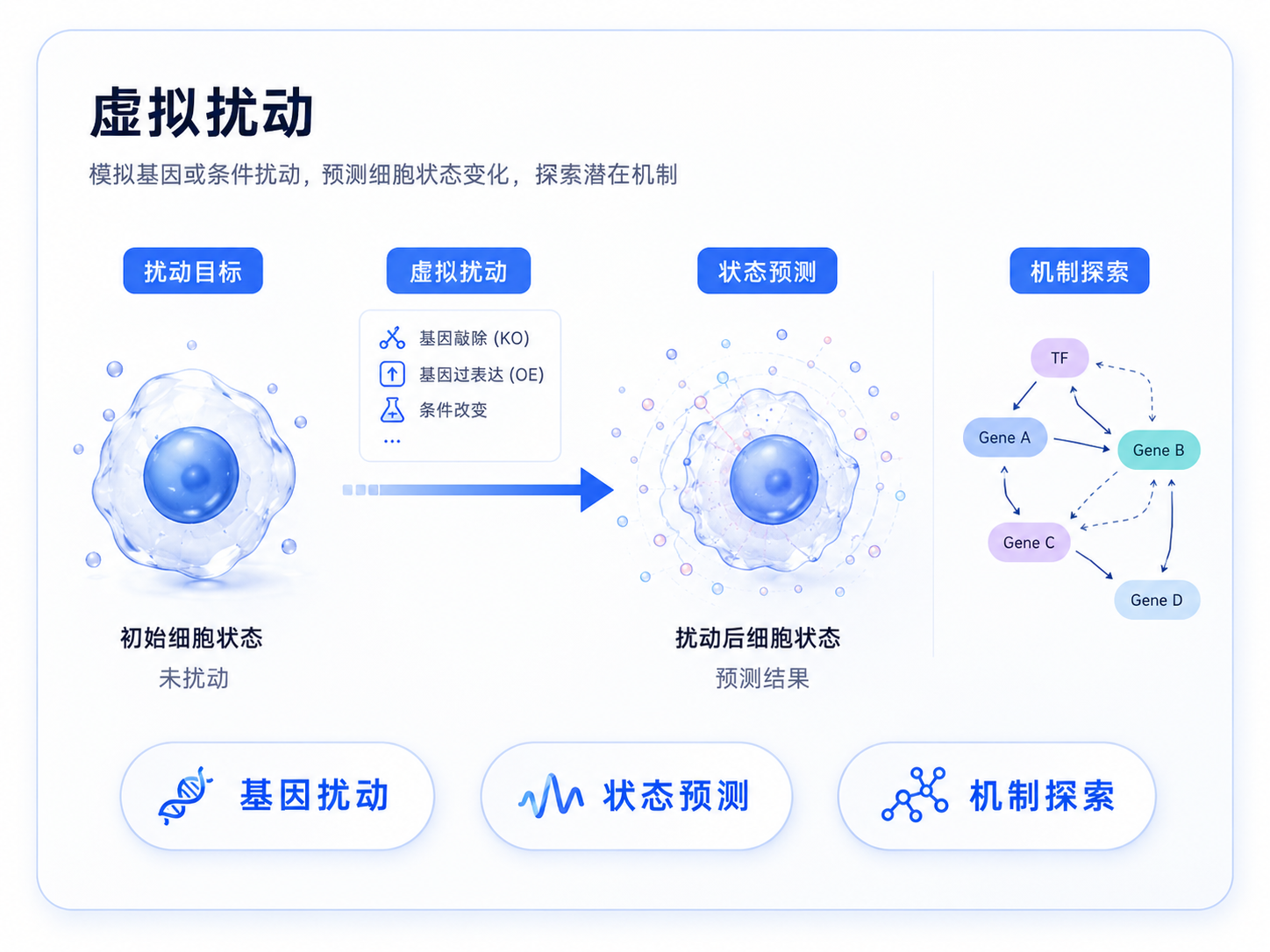 虚拟扰动:基因扰动、状态预测与机制探索